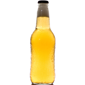 Beer bottle PNG image, download picture-2368